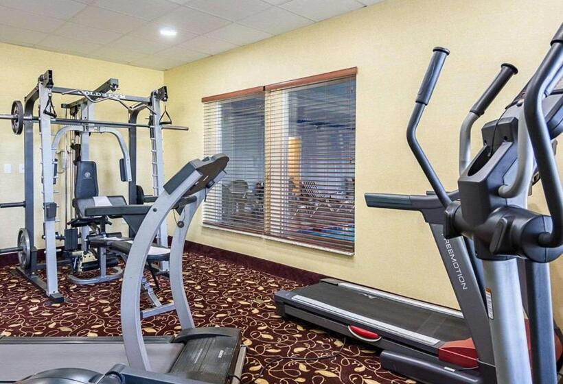 ホテル Comfort Inn & Suites Chesapeake  Portsmouth