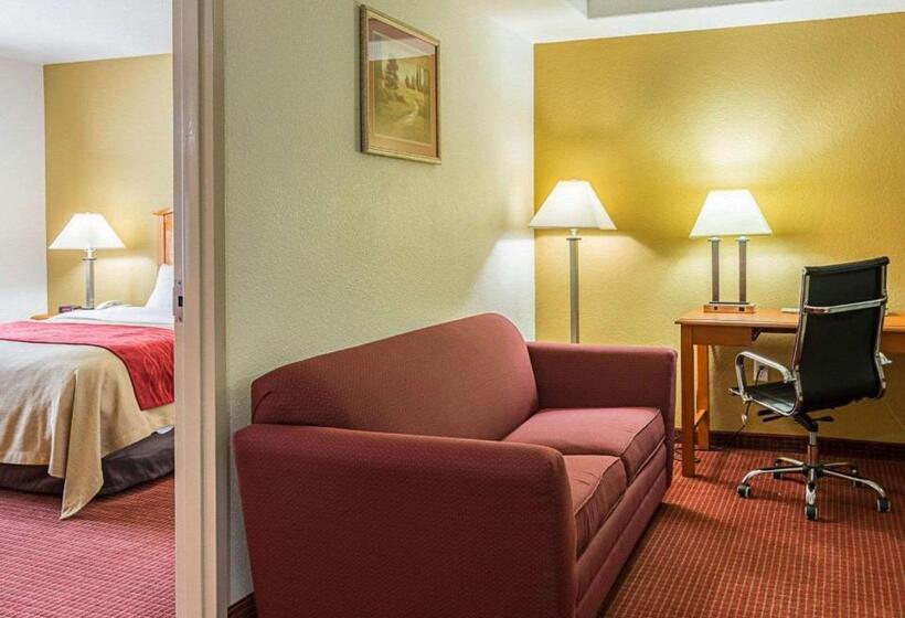 ホテル Comfort Inn & Suites Chesapeake  Portsmouth