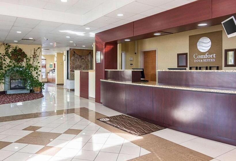 ホテル Comfort Inn & Suites Chesapeake  Portsmouth