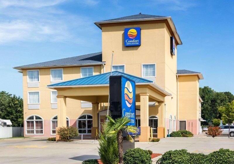 ホテル Comfort Inn & Suites Chesapeake  Portsmouth
