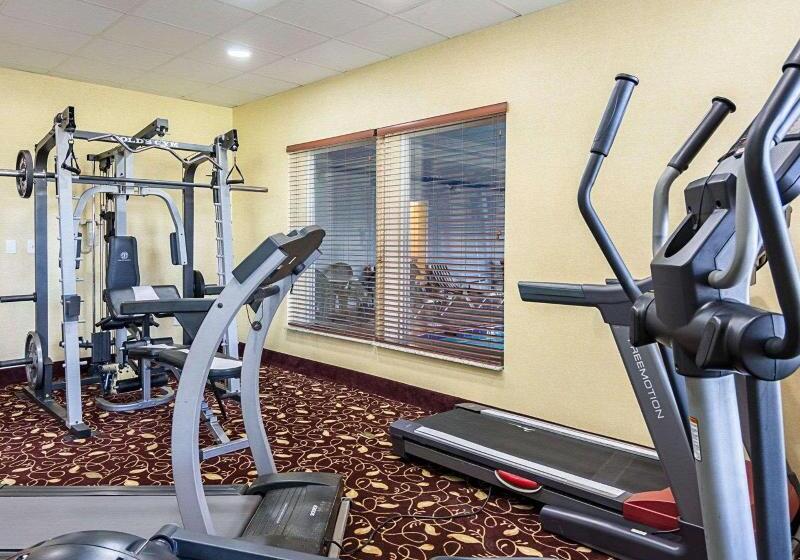 ホテル Comfort Inn & Suites Chesapeake  Portsmouth