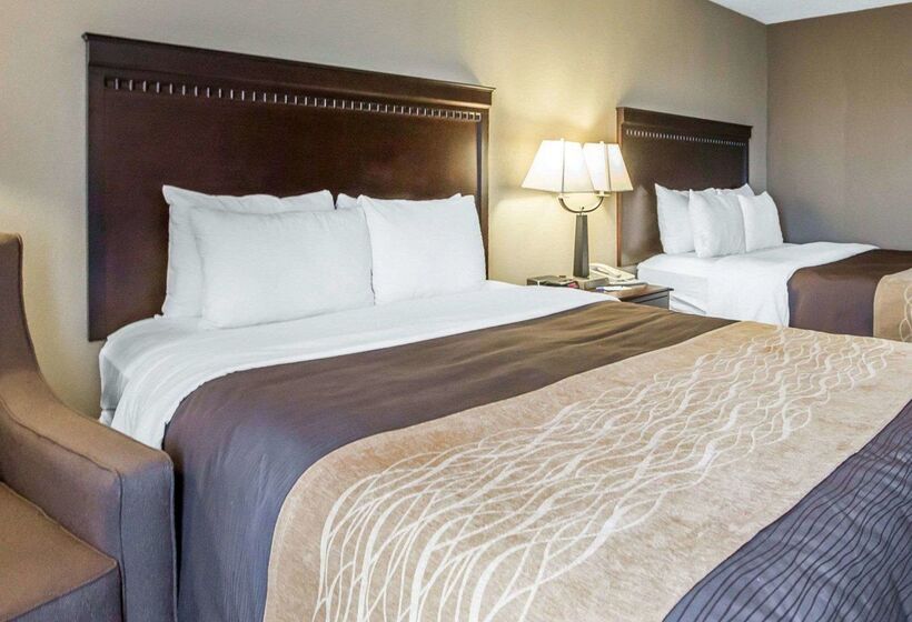 فندق Comfort Inn & Suites Near Tinley Park Amphitheater