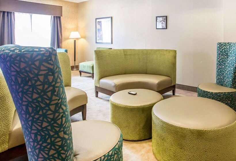 Отель Comfort Inn & Suites Near Tinley Park Amphitheater