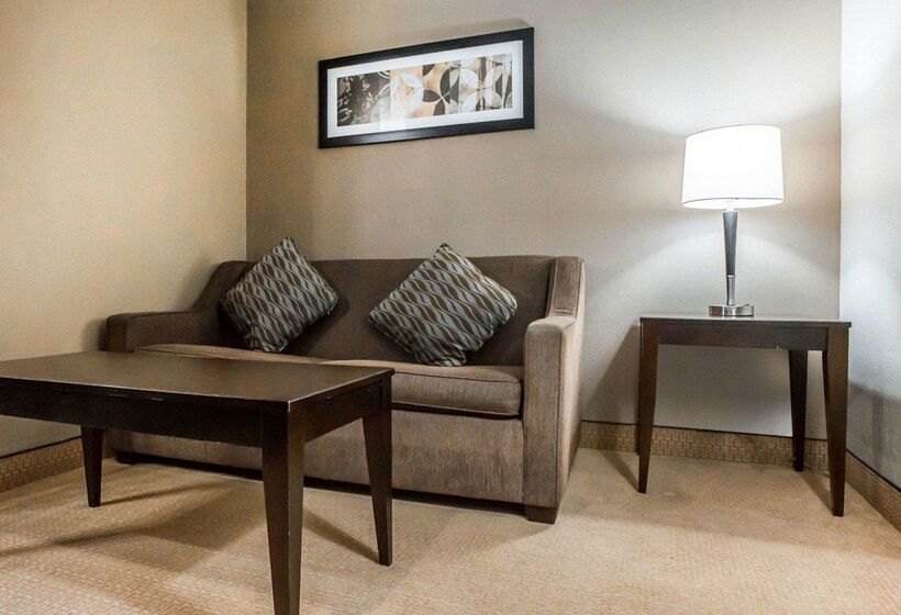 فندق Comfort Inn & Suites Near Tinley Park Amphitheater