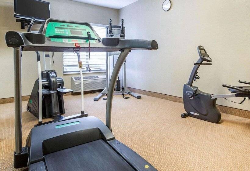 فندق Comfort Inn & Suites Near Tinley Park Amphitheater