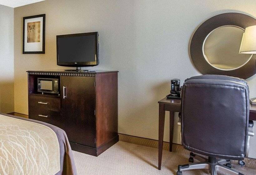 Отель Comfort Inn & Suites Near Tinley Park Amphitheater