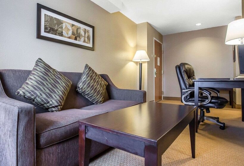 فندق Comfort Inn & Suites Near Tinley Park Amphitheater