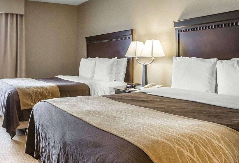 فندق Comfort Inn & Suites Near Tinley Park Amphitheater