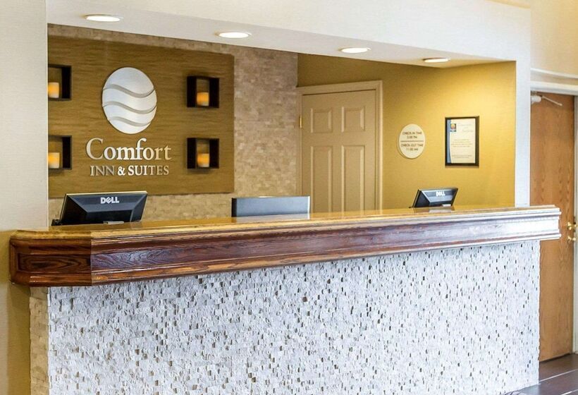 Отель Comfort Inn & Suites Near Tinley Park Amphitheater
