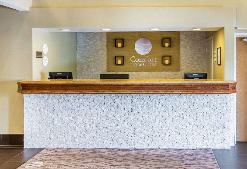 Отель Comfort Inn & Suites Near Tinley Park Amphitheater