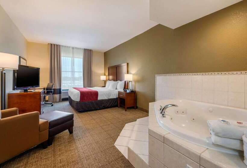 فندق Comfort Inn & Suites Northeast  Gateway