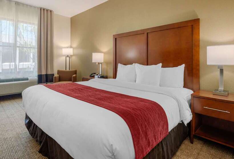 فندق Comfort Inn & Suites Northeast  Gateway