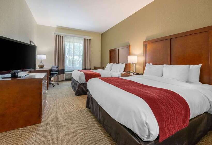 فندق Comfort Inn & Suites Northeast  Gateway