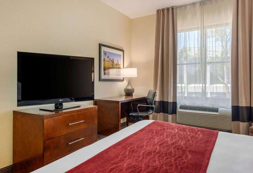 فندق Comfort Inn & Suites Northeast  Gateway