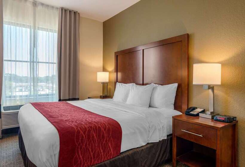 فندق Comfort Inn & Suites Northeast  Gateway