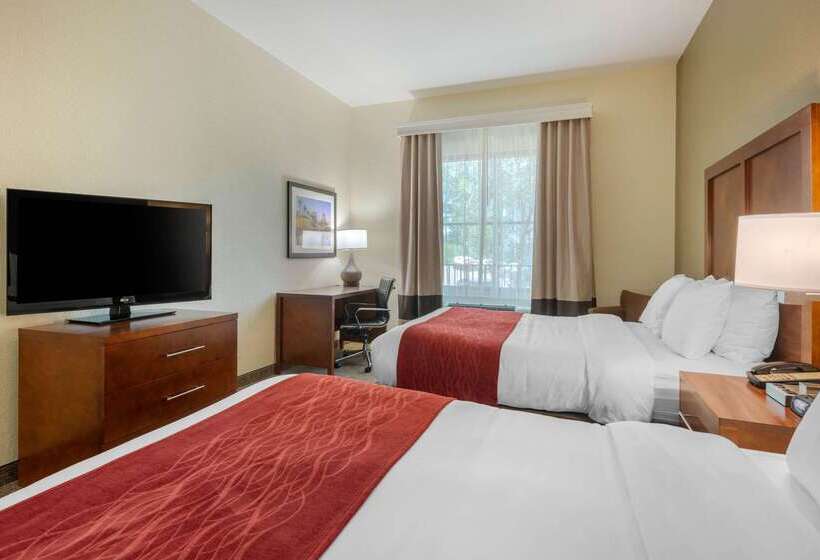 فندق Comfort Inn & Suites Northeast  Gateway