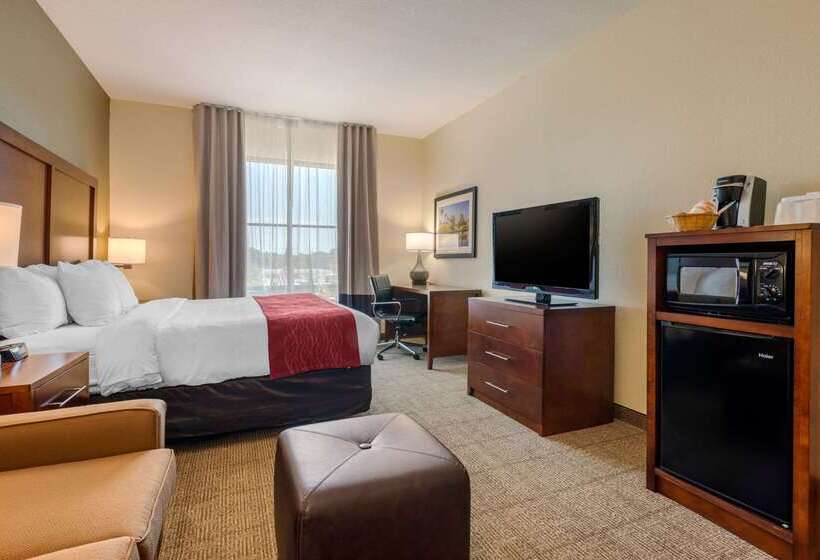 فندق Comfort Inn & Suites Northeast  Gateway