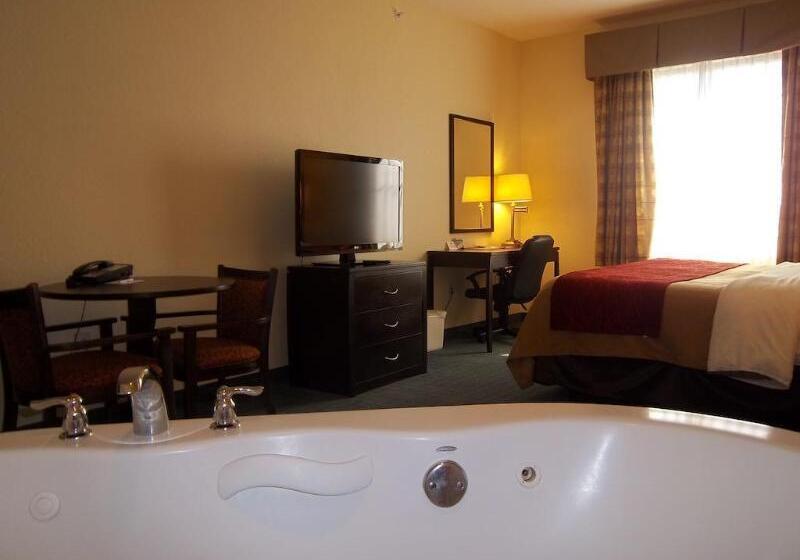 فندق Comfort Inn & Suites Northeast  Gateway