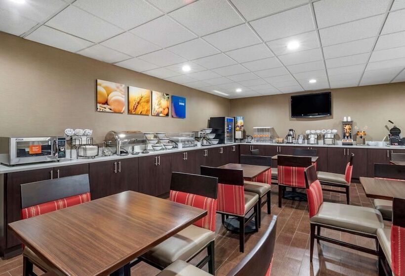 فندق Comfort Inn & Suites Oxford South