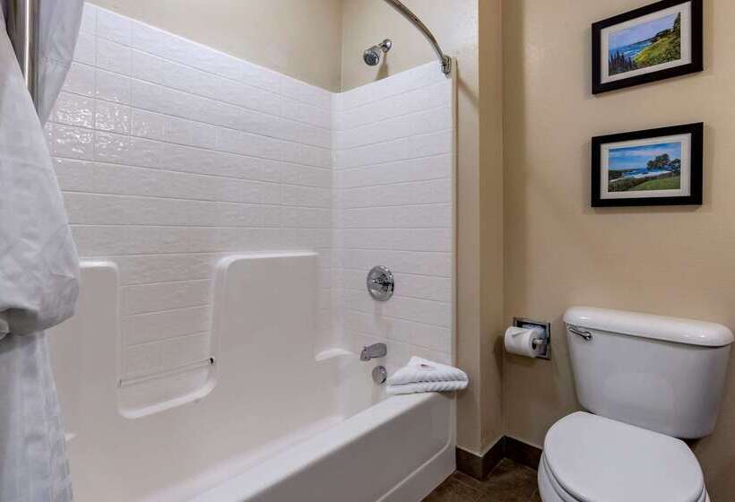 בית מלון כפרי Comfort Inn & Suites Ukiah Mendocino County