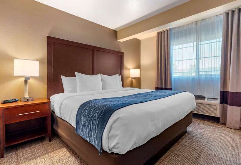 호텔 Comfort Inn & Suites Ukiah Mendocino County