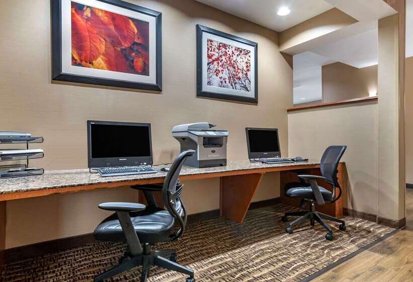 فندق Comfort Suites Airport