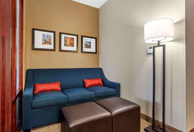 فندق Comfort Suites Airport