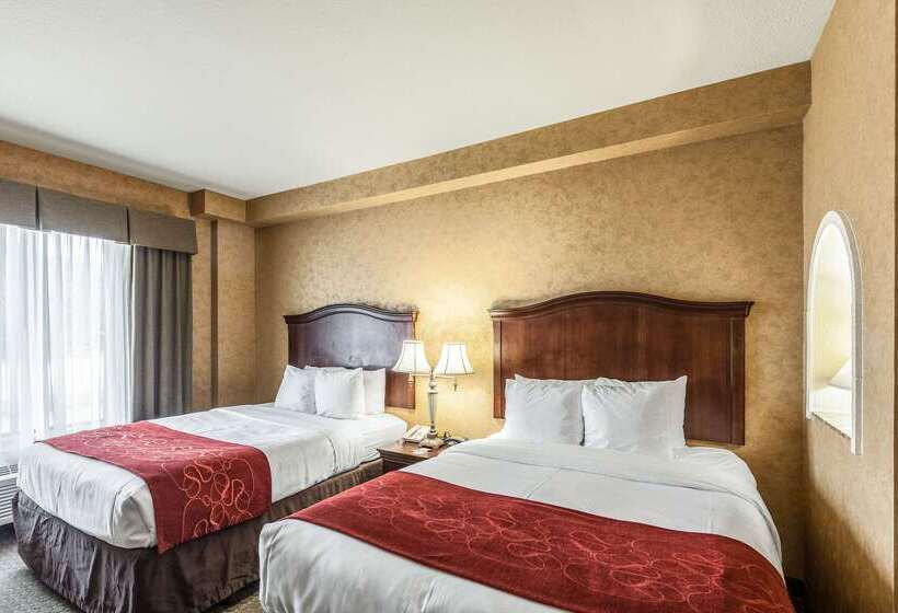 ホテル Comfort Suites Alamo Riverwalk