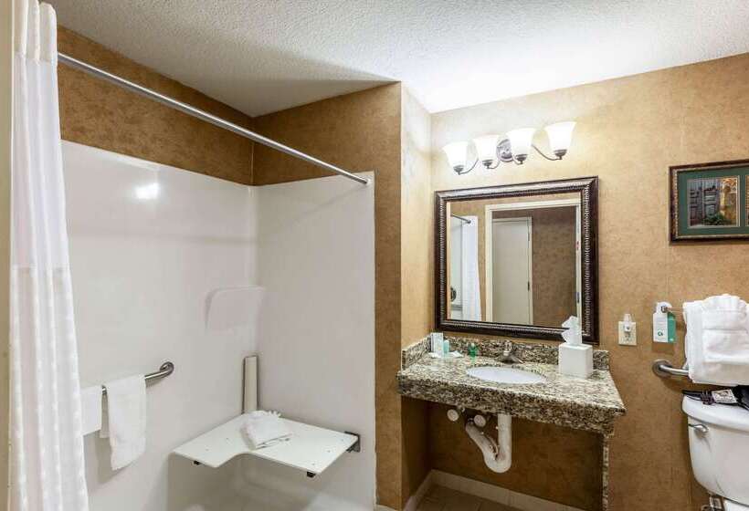 ホテル Comfort Suites Alamo Riverwalk