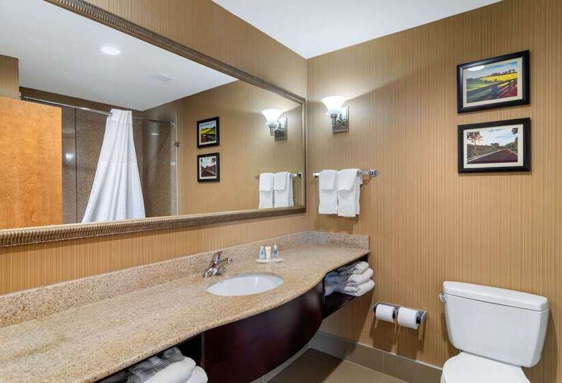 Отель Comfort Suites Byron Warner Robins