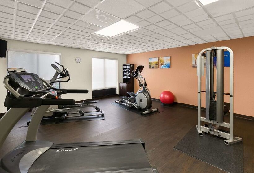 فندق Comfort Suites