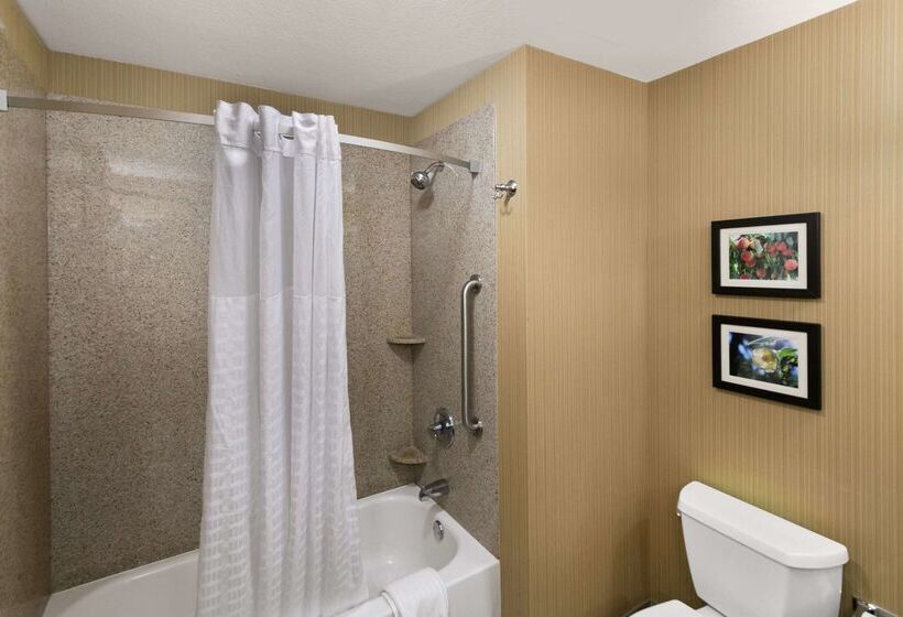 فندق Comfort Suites