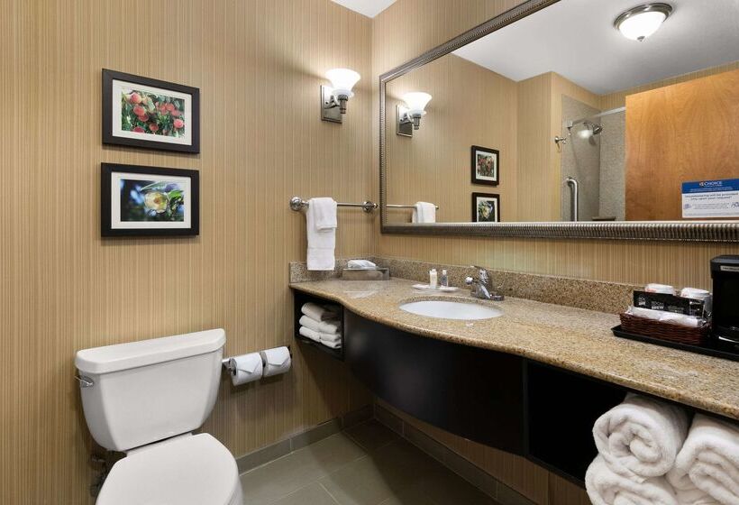 فندق Comfort Suites