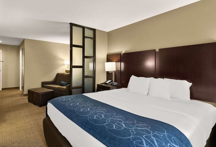 فندق Comfort Suites