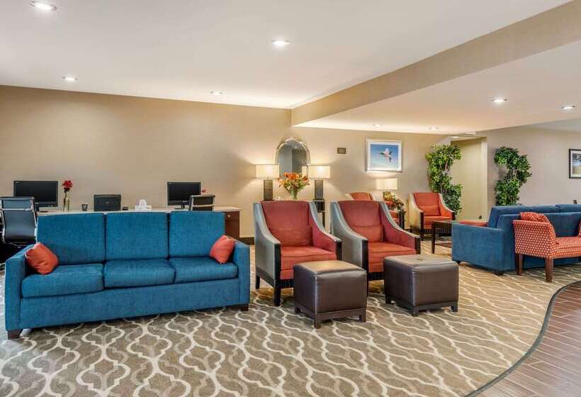 호텔 Comfort Suites Daytonwright Patterson