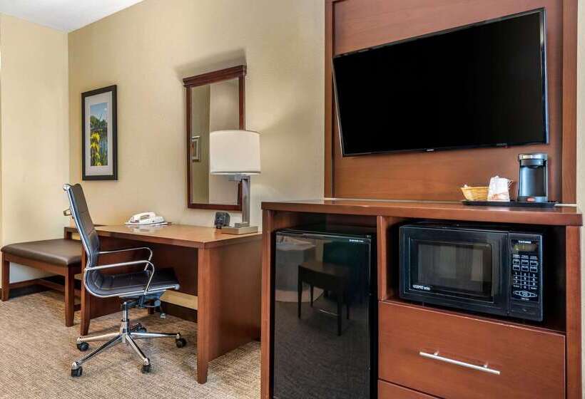 هتل Comfort Suites Daytonwright Patterson