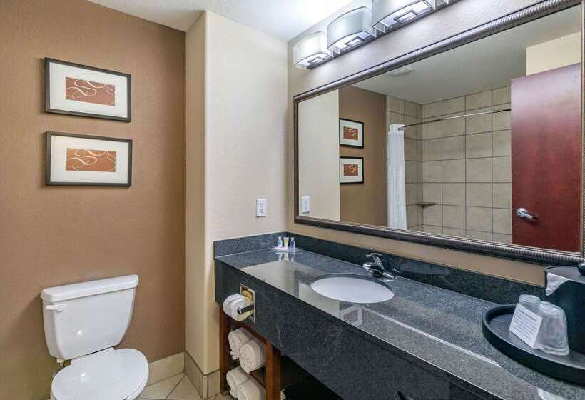 فندق Comfort Suites