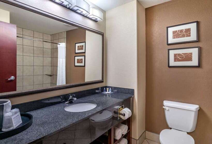 فندق Comfort Suites