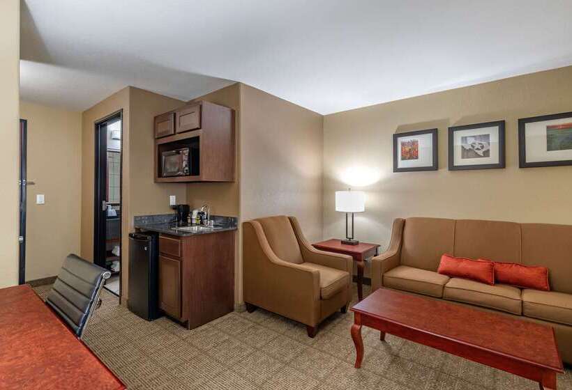 酒店 Comfort Suites