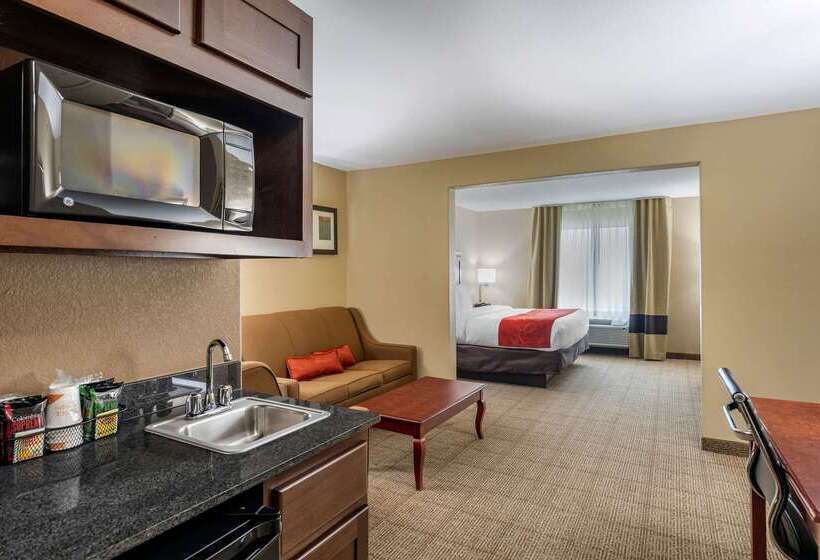 فندق Comfort Suites