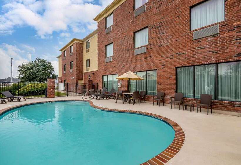 酒店 Comfort Suites