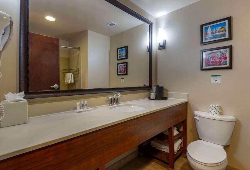 فندق Comfort Suites Lake Norman  Huntersville