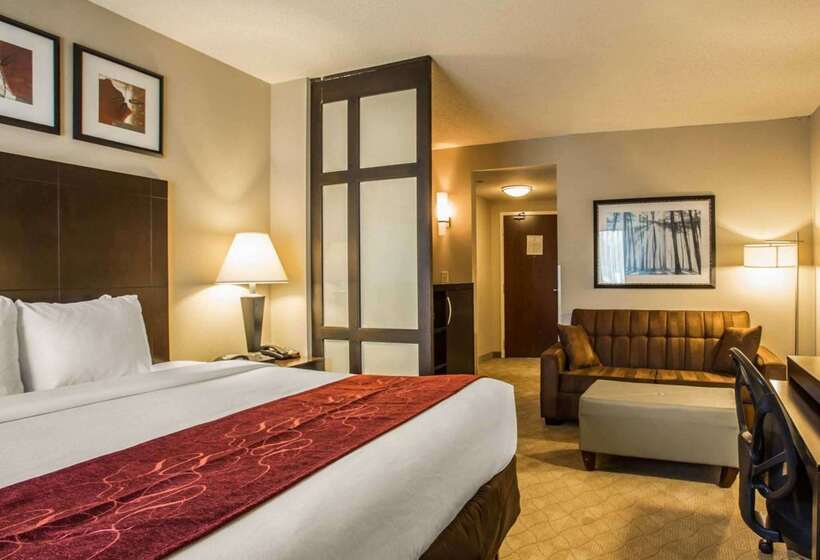 ホテル Comfort Suites Lake Norman  Huntersville