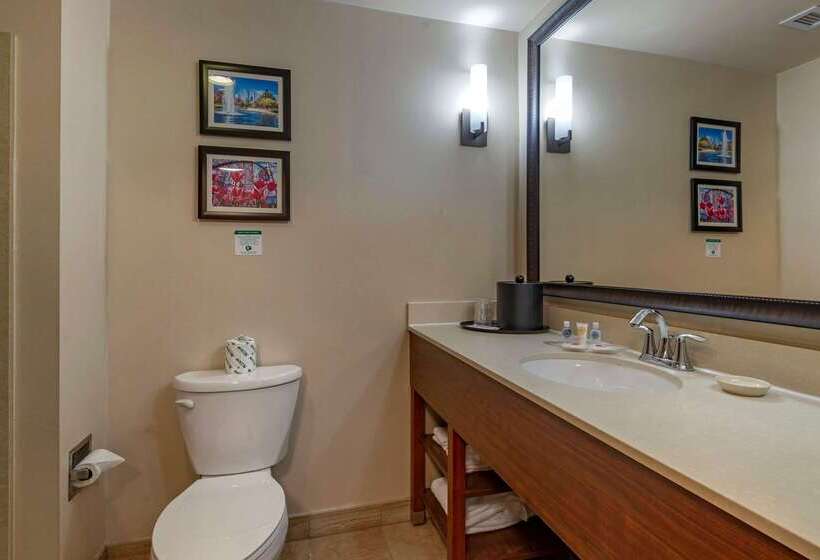 ホテル Comfort Suites Lake Norman  Huntersville