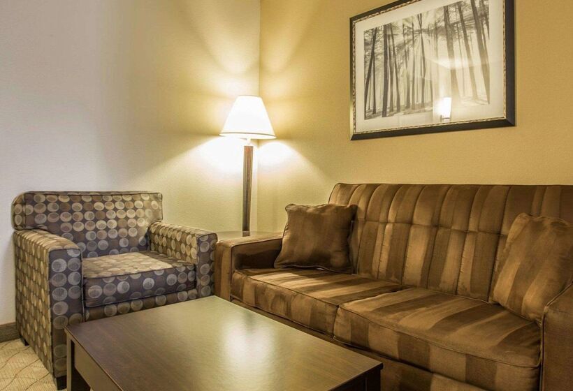 ホテル Comfort Suites Lake Norman  Huntersville