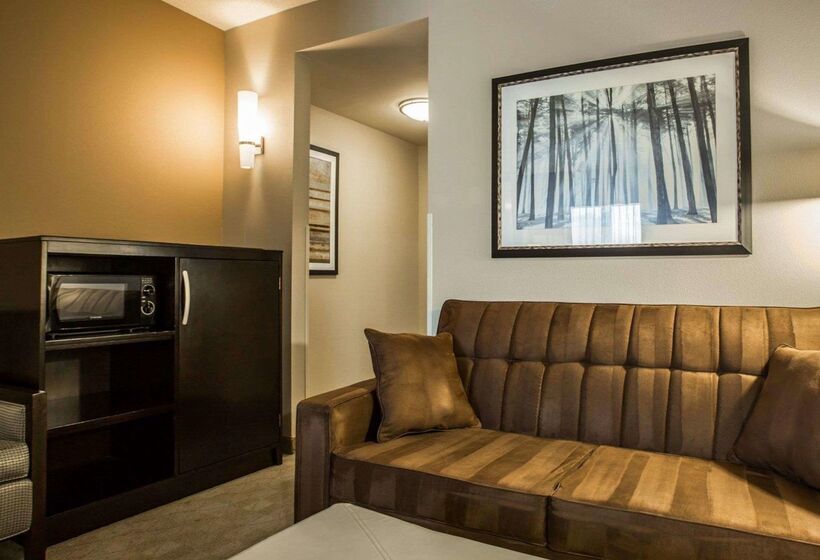 فندق Comfort Suites Lake Norman  Huntersville