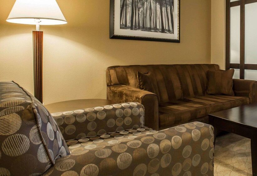 فندق Comfort Suites Lake Norman  Huntersville
