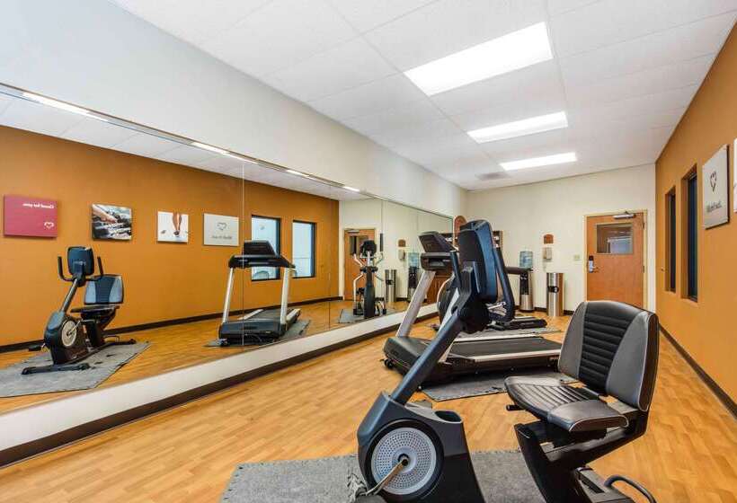 فندق Comfort Suites