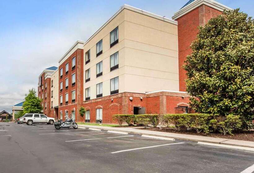 فندق Comfort Suites