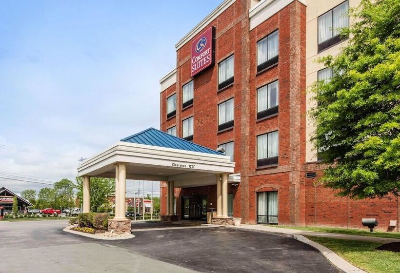 فندق Comfort Suites